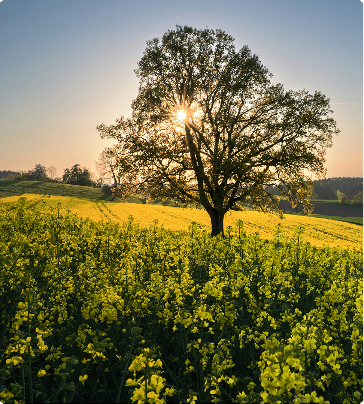 Partenaire expert en carburants, biocarburants et combustibles pour tous les secteurs