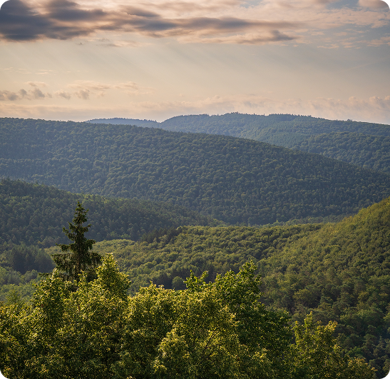Proche de vous, partout en France
