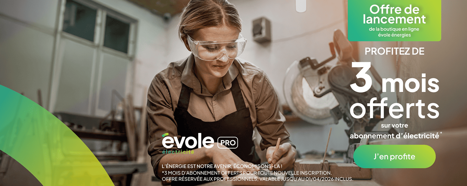 Promotion Ouverture - Electricité